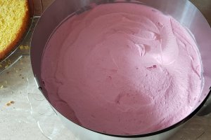 Desert tort cu mousse de ciocolata si fructe de padure