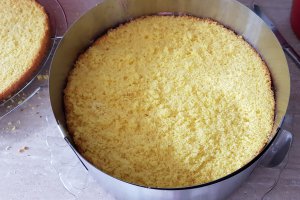 Desert tort cu mousse de ciocolata si fructe de padure