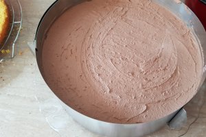 Desert tort cu mousse de ciocolata si fructe de padure