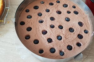 Desert tort cu mousse de ciocolata si fructe de padure