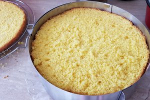 Desert tort cu mousse de ciocolata si fructe de padure