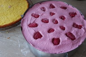 Desert tort cu mousse de ciocolata si fructe de padure