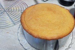Desert tort cu mousse de ciocolata si fructe de padure