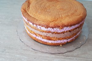 Desert tort cu mousse de ciocolata si fructe de padure