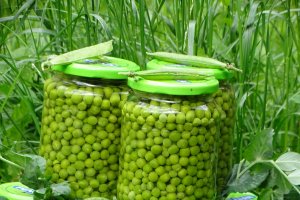 Mazare pentru iarna conservata in saramura