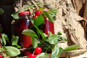 Nectar de visine