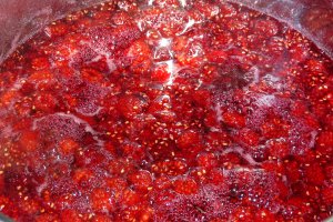 Dulceata de zmeura -varianta 2