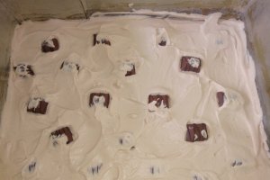 Desert tort aniversar Mickey Mouse
