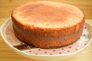 Desert tort cu crema de ciocolata si jeleu de coacaze negre