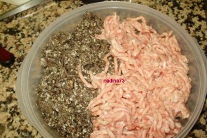 Ciorba de perisoare  cu ciuperci , carne si bors