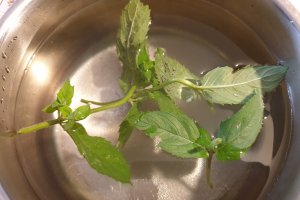 Compot de mere cu menta