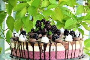 Desert tort M&M ( Minodora si Mihai, 25 de ani batuti pe muchie ) si reteta 1400