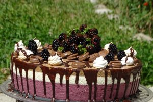 Desert tort M&M ( Minodora si Mihai, 25 de ani batuti pe muchie ) si reteta 1400