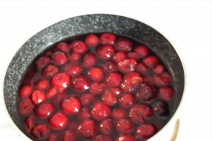 Sorbet de visine