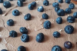 Desert tort cu crema de frisca cu ciocolata si afine