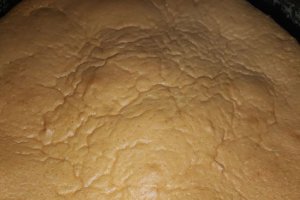 Desert tort cu crema de frisca cu ciocolata si afine