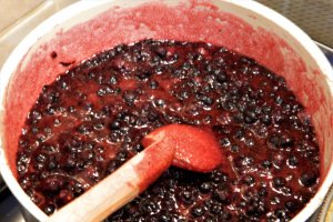 Dulceata de afine si mure