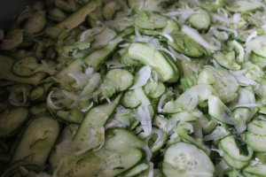 Salata de castraveti cu ceapa in saramura
