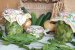 Salata de castraveti cu ceapa in saramura-3
