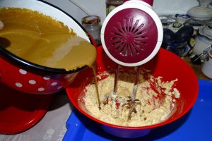 Desert tort Mama (Magdalena-Adriana 78 de ani)