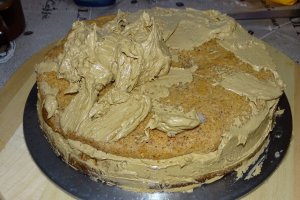 Desert tort Mama (Magdalena-Adriana 78 de ani)