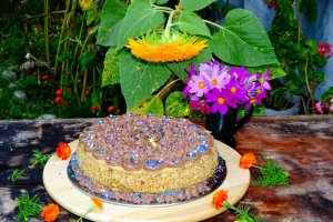 Desert tort Mama (Magdalena-Adriana 78 de ani)
