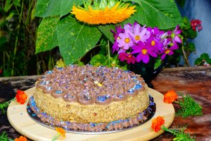 Desert tort Mama (Magdalena-Adriana 78 de ani)