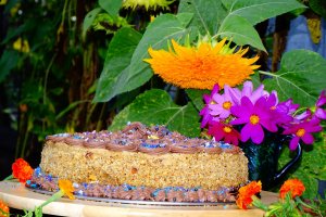 Desert tort Mama (Magdalena-Adriana 78 de ani)