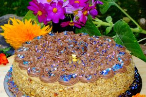 Desert tort Mama (Magdalena-Adriana 78 de ani)