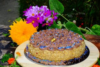 Desert tort Mama (Magdalena-Adriana 78 de ani)