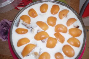 Tort-sarlota de iaurt cu caise