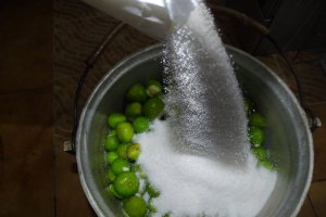 Gem de smochine