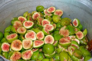 Gem de smochine