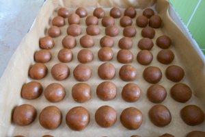 Desert Preanici sau turtite dulci basarabene