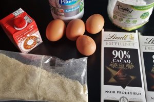 Desert prajitura Bellevue cu ciocolata (fara gluten)