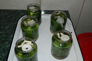 Castraveti bulgaresti