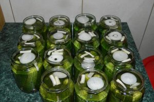 Castraveti bulgaresti