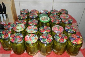 Castraveti bulgaresti