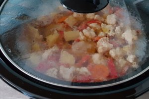 Carne de pui cu legume la slow cooker Crock Pot