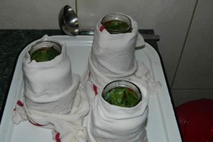 Gogosari in otet fara conservant