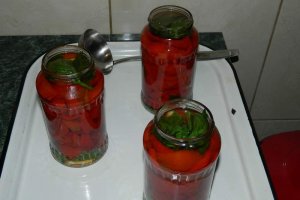 Gogosari in otet fara conservant