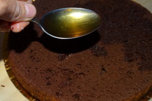Desert tort 52