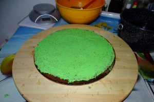 Desert tort 52