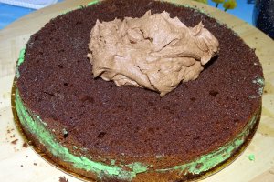 Desert tort 52
