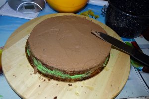 Desert tort 52