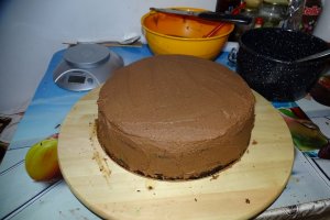 Desert tort 52