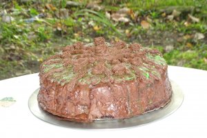 Desert tort 52