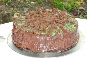Desert tort 52