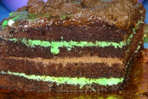 Desert tort 52
