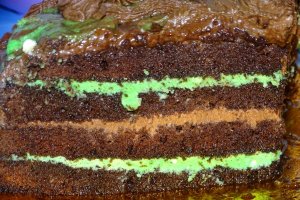 Desert tort 52